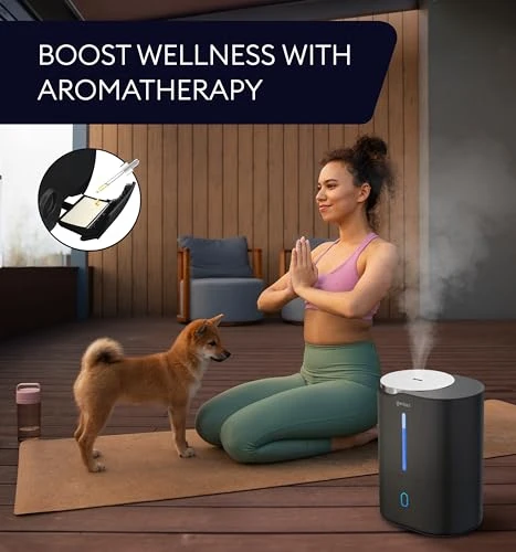 Cool Mist Air Humidifier — Humidifier, GENIANI