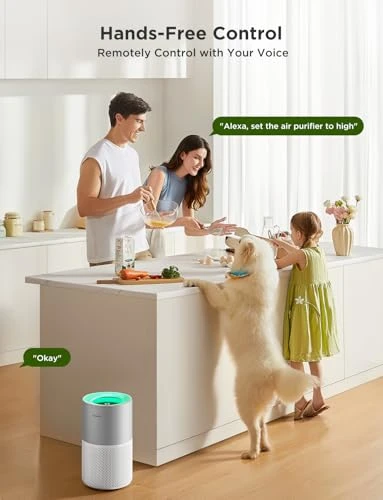 Smart Air Purifier for Homes and Large Rooms — Air Purifier, GoveeLife