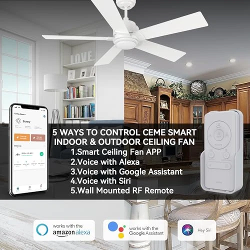 Smart Ceiling Fan with Lights — Smart Fan, CEME
