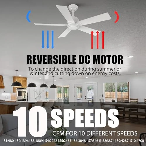 Smart Ceiling Fan with Lights — Smart Fan, CEME