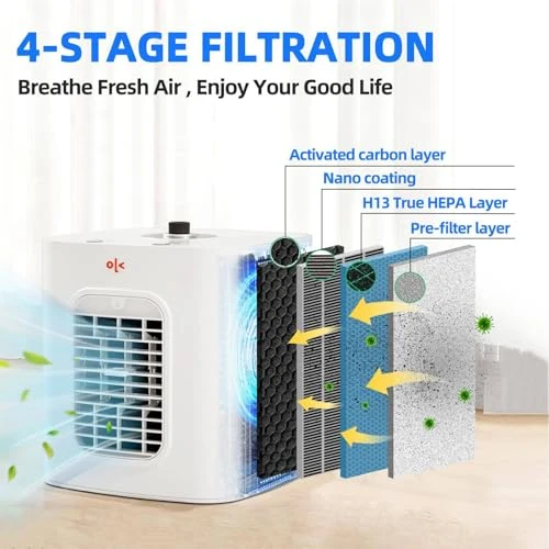 Air Purifier with Cooling and Humidifying Function — Air Purifier