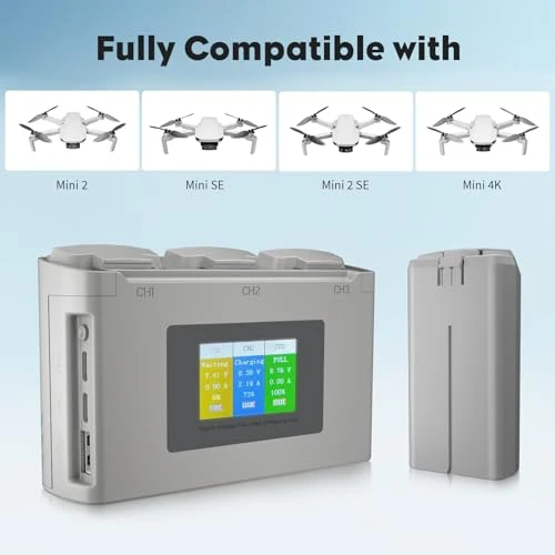 Two-Way Charging Hub with Display and Two Intelligent Batteries, Aovee
