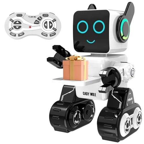 Interactive Intelligent LED Light RC Robot Toy, HBUDS
