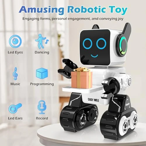 Interactive Intelligent LED Light RC Robot Toy, HBUDS