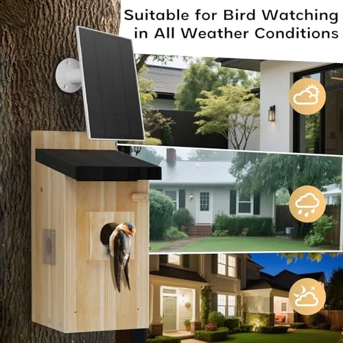 Smart Bird House with Camera — Smart Bird Feeder, Hiyiton