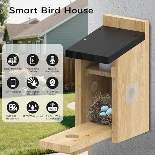 Smart Bird House with Camera — Smart Bird Feeder, Hiyiton