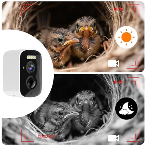 Smart Bird House with Camera — Smart Bird Feeder, Hiyiton
