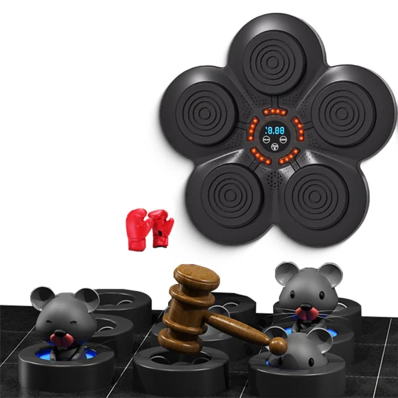 Smart Musical Boxing Target — Smart Boxing Trainer, Holland Pia