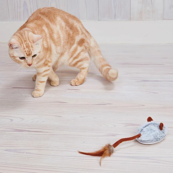 Wild Mouse Robot Mouse Max Self-driving — Automatic Cat Toy, Hidden Nest