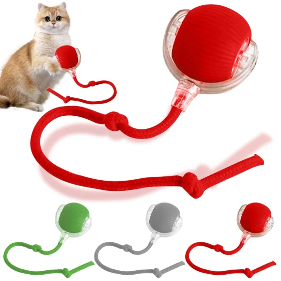 Interactive Pet Toy Ball, Jiangnan A