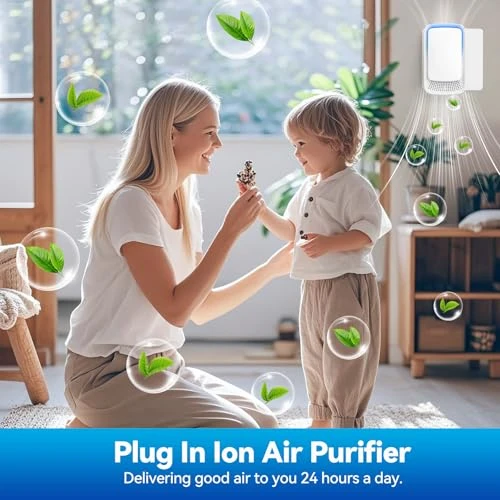 Negative Ion Air Ionizer