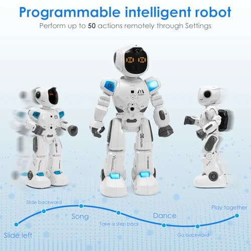 Interactive Smart Robot with Remote Control, sepytia