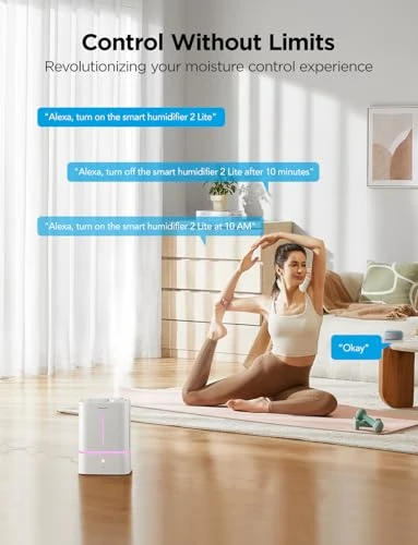 Smart Cool Mist Air Humidifier, GoveeLife