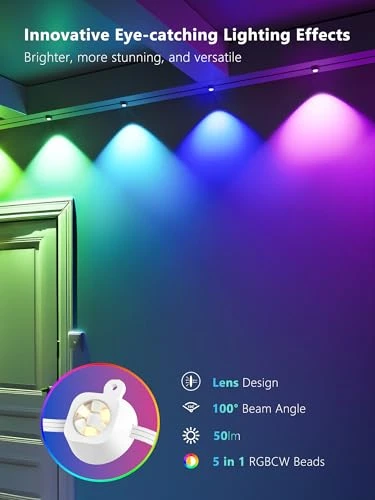 Permanent Outdoor Lights, BrizLabs