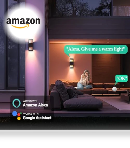 Color Changing Outdoor Wall Lights — Outdoor Wall Lighting, WISELUME