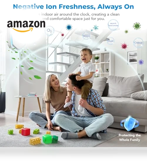Negative Ion Air Purifier — Air Ionizers