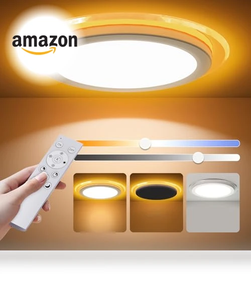 Flush Mount LED Ceiling Light with Nightlight — Overhead Lighting, Aphyni