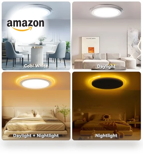 Flush Mount LED Ceiling Light with Nightlight — Overhead Lighting, Aphyni