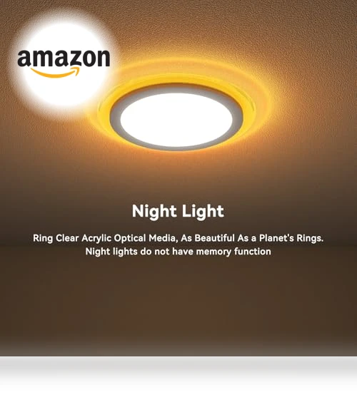 Flush Mount LED Ceiling Light with Nightlight — Overhead Lighting, Aphyni