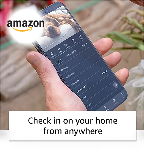Household robot for home monitoring — Smart Home Security, Amazon