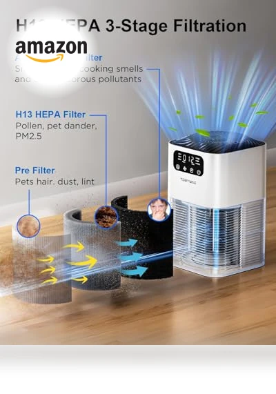Large Room Air Purifier with H13 True HEPA Filter — Activated Carbon Air Purifiers, TDBYWAE