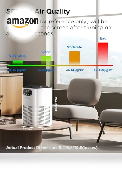 Large Room Air Purifier with H13 True HEPA Filter — Activated Carbon Air Purifiers, TDBYWAE