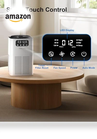 Large Room Air Purifier with H13 True HEPA Filter — Activated Carbon Air Purifiers, TDBYWAE