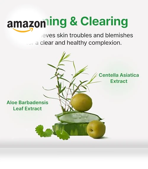 Calming Care AHA/BHA Moisturizer — Beauty & Personal Care, Face Republic