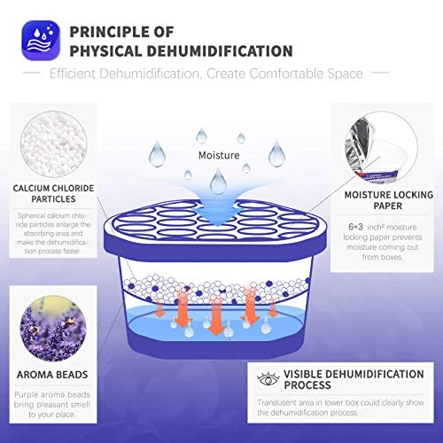 Moisture Absorbers 6 Pack — Dehumidifier, Vacplus