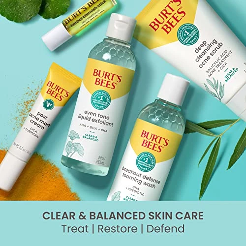 Skin Balancing Gel Cream, Burt's Bees