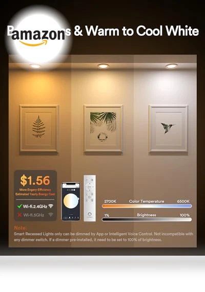 Smart Recessed Lighting — Recessed Lighting, Lumary