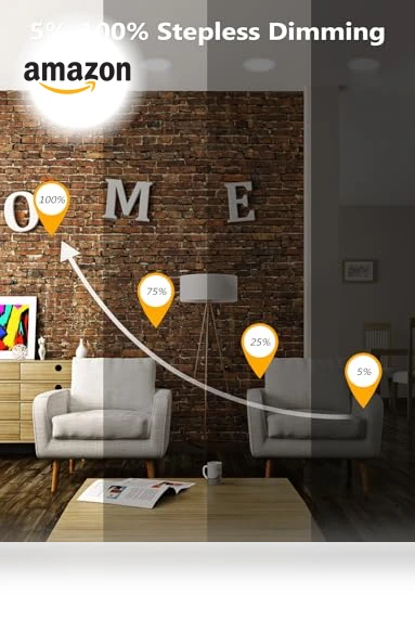 Smart Recessed Lighting — LED, RICHSING