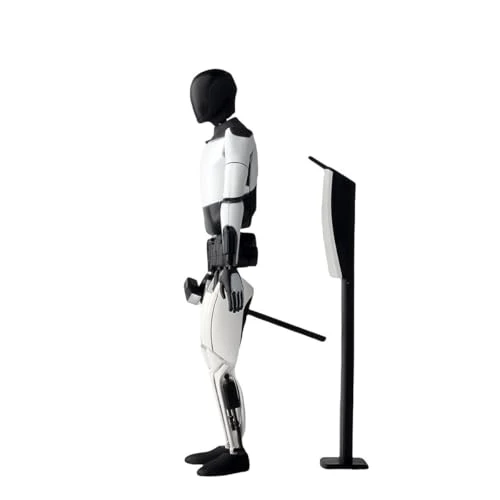 Robot Model, Dongguan Simblong Co.,Ltd