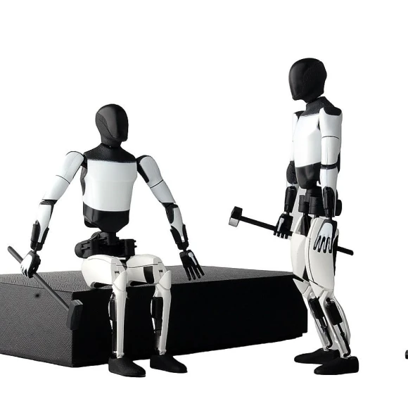 Robot Model, Dongguan Simblong Co.,Ltd