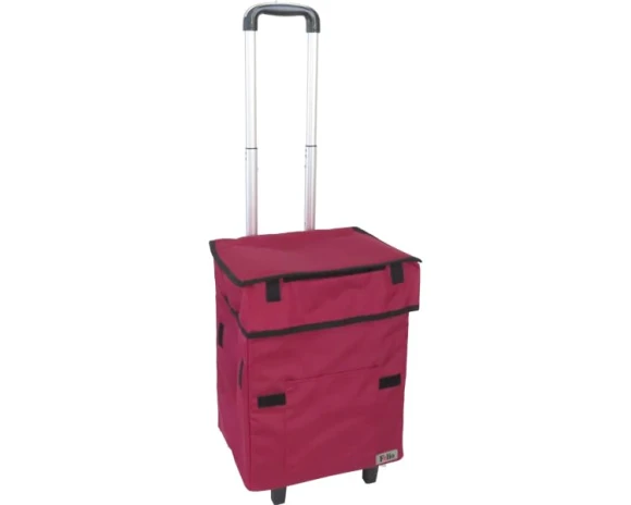 Smart Shopping Bag with Egg Holder, Fujisho