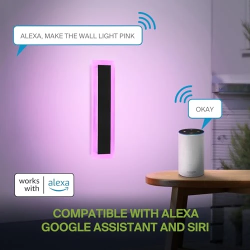 LED Wall Mount Light Fixture, ASD