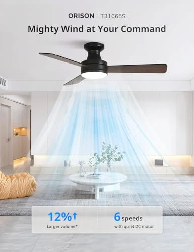 Smart Ceiling Fan with Lights, Orison