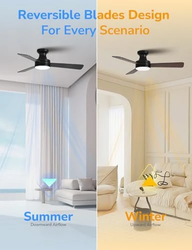 Smart Ceiling Fan with Lights, Orison