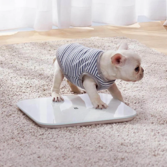 Smart Scale 2 — Smart Scale, Mijia