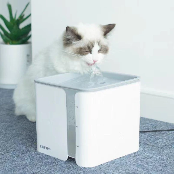 Automatic Cat Fountain, Five Colorful