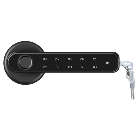 Electronic Smart Door Handle — Smart Lock, Homedepot