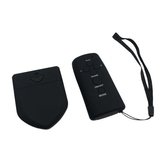 Wireless Physiotherapy Device with Remote Control, Graceful Bearing