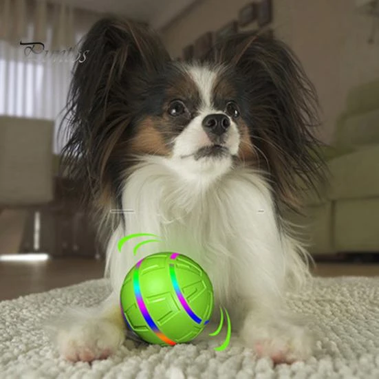 Interactive Dog Toy Ball — Automatic Cat Toy, Pet park