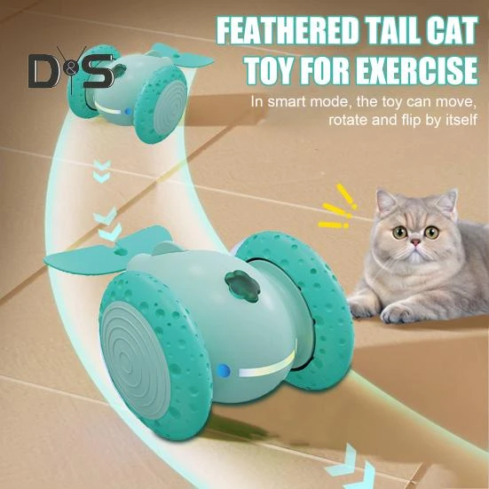 Interactive Cat Toy, Kitty Cat House