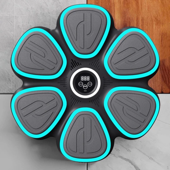 Smart Music Boxing Trainer, SunshineTek