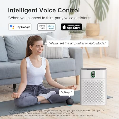 Air Purifier for Large Rooms — Air Purifier, EZBASICS