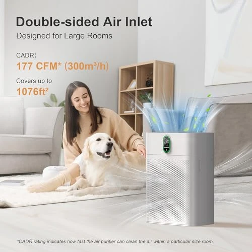 Air Purifier for Large Rooms — Air Purifier, EZBASICS
