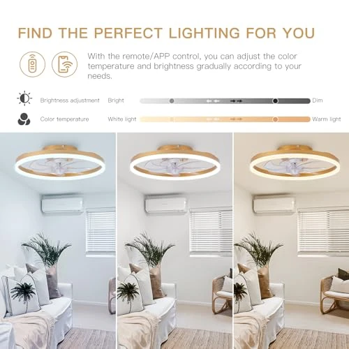 Modern Gold Ceiling Fan with Lights, STERREN