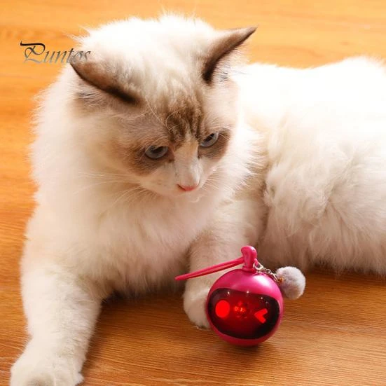 Automatic Moving Ball — Automatic Cat Toy, Pet park