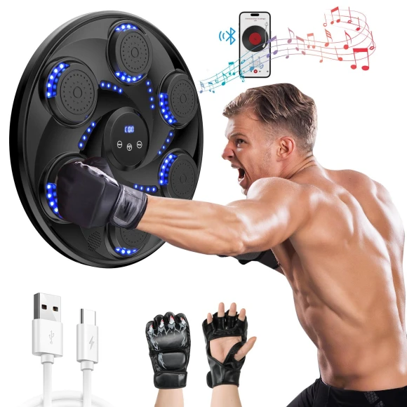 Bluetooth Music Boxing Wall Target — Smart Boxing Trainer, Holland Ham